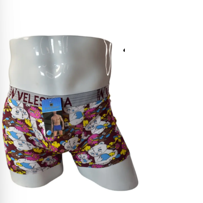 Boxer de BAMBU